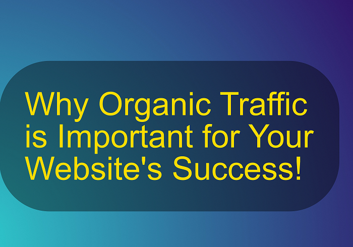 Why Organic Traffic is Important for Your Website's Success