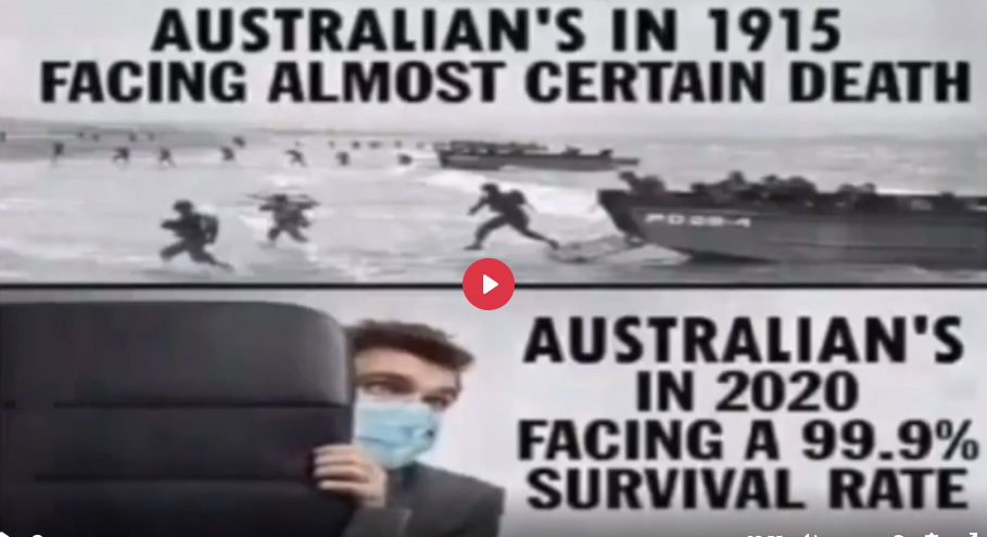 Australians are Pussies
